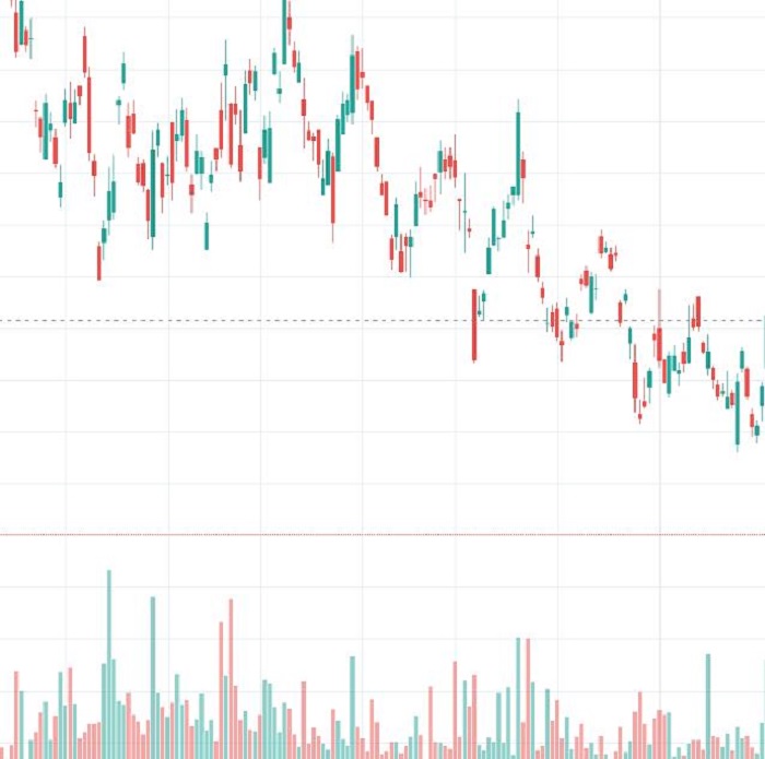 Short Position-vị thế bán/Lệnh bán.jpg