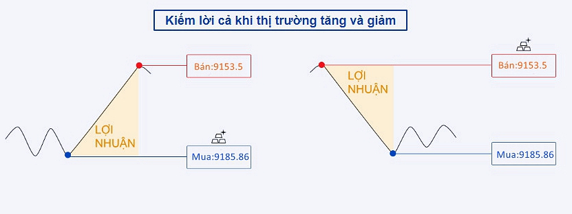 15988424229547